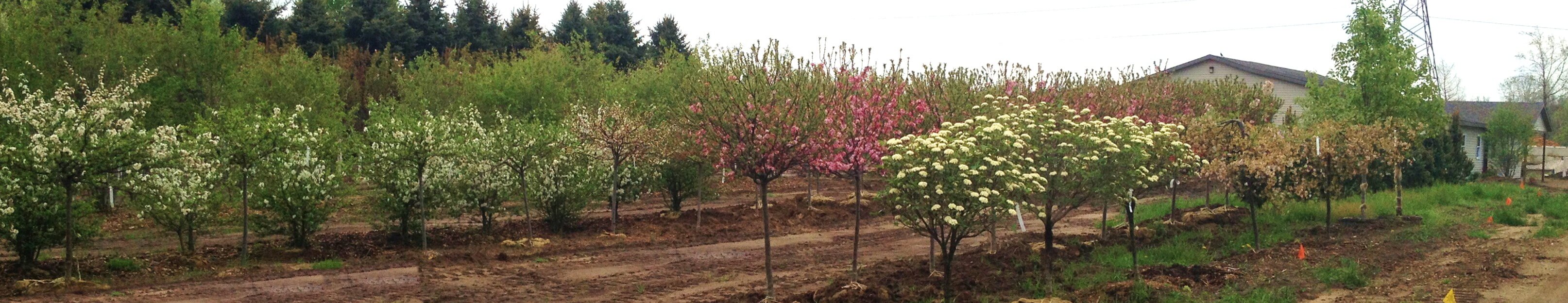 Services_Garden Center