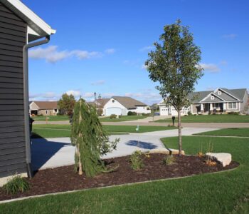 Landscaping Trees