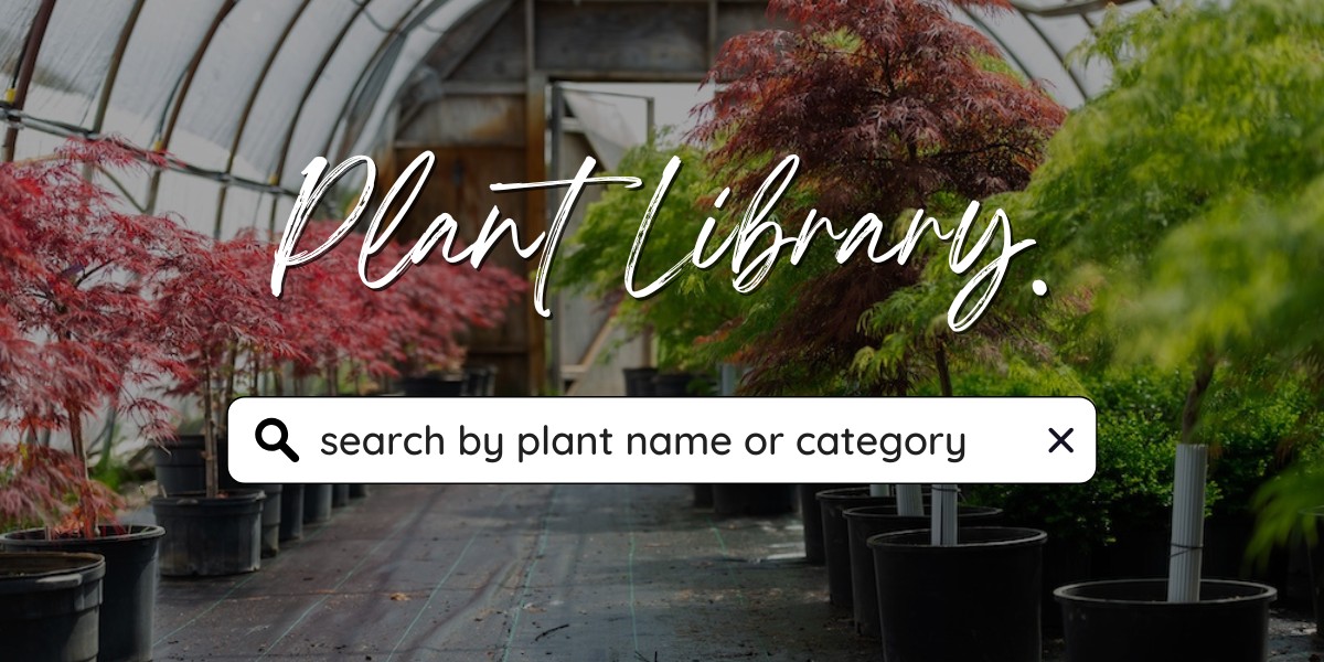 Plant Library, Search for Plants